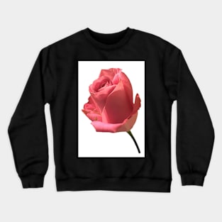 Pink Rose on White photograph Crewneck Sweatshirt